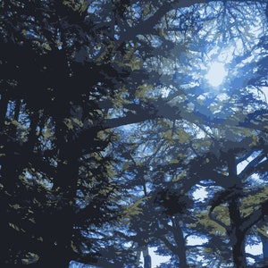 Lebanese Cedar Grove Delight: Charming Nature Prints - Instant Download Art