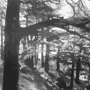 Cedar Valley Panorama: Breathtaking Nature Prints - Instant Download Wall Art