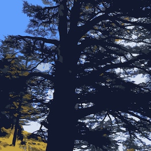 Vintage Cedar Legacy: Retro Nature Art - Instant Download Prints