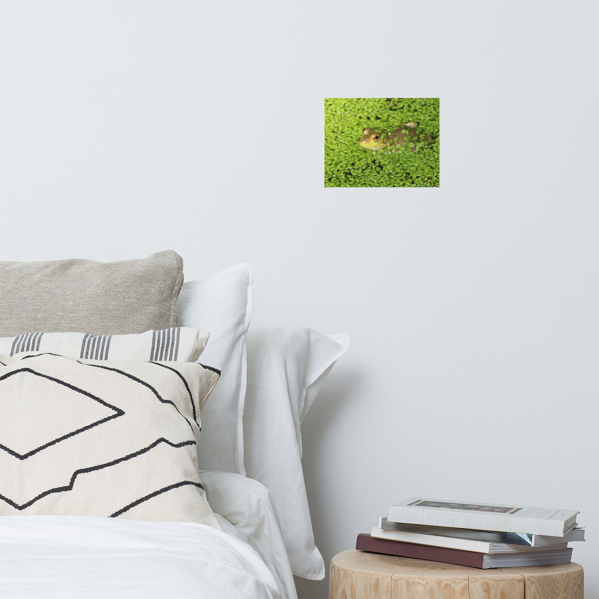 Green Frog Photo Print Frog Photography Green Frog Frog Wall Decor ...