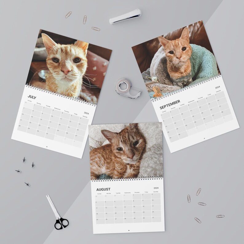 Otto Calendar 2024 Etsy