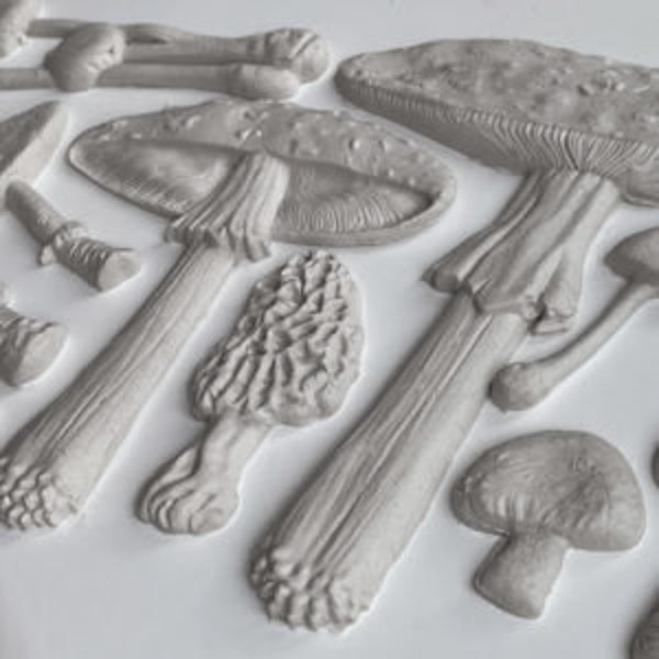 Iron Orchid Toadstool Mould