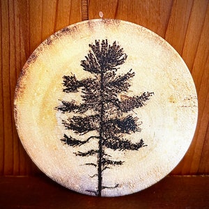 May include: A round wooden coaster with a black silhouette of a pine tree burned into the surface. The background is a light brown color.