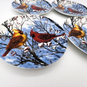 Porzellan Teller Set Kardinal Vogel für Winter Vogel Liebhaber Vintage Teller für Esszimmer Dekor Natur Inspiriert Vogel Gedecke Vogel Liebhaber Geschenk