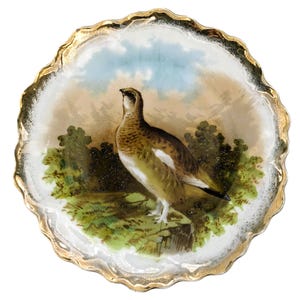 Antique Porcelain Game Bird Plate | Gold Trim Scalloped Edge Plate Bird Design | Early 1900s Bavarian Style Wall Decor Plate Wall Hanger