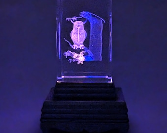 3D Crystal Box Owl Figurine Color Changing Nightlight Home Decor Light Up Glass Cube Owl Display Owl Lover Gift Desk Decor Magical Ambiance