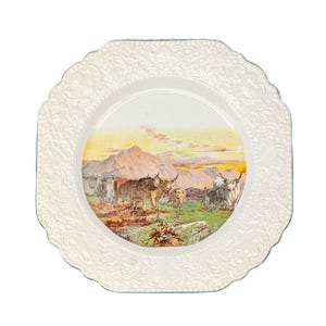 Puede incluir: Un plato de cerámica blanca con forma cuadrada y bordes festoneados. El plato presenta una escena de paisaje con ganado de las Tierras Altas pastando en un campo, con montañas al fondo. El borde del plato tiene un diseño floral en relieve.