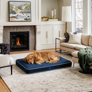May include: A rectangular navy blue pet bed with white piping along the edges and the word Netbors embroidered in light blue on the front side. A golden-colored dog is lying asleep on the center of the cushioned surface of the pet bed.