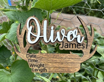 Personalized Newborn Stats Sign, Baby Keepsake Photo Prop