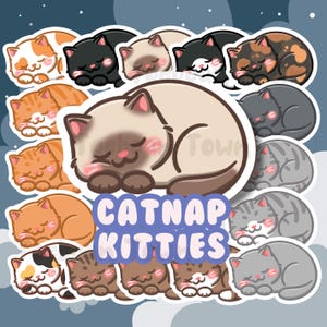 Naklejka Cute Cat Nap Cat Loaf | Szary/Szary Pomarańczowy/Rudy Brąz Pręgowany, Czarny Biały/Smoking, Czarny/Pusty, Syjamski, Szylkretowy, Kaliko