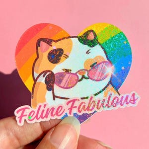 May include: A sticker of a cartoon cat wearing pink sunglasses, set against a rainbow heart. The cat is orange, white, and black, with the words "Feline Fabulous" in pink script below. The sticker has a glittery finish.