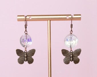 Copper butterflies