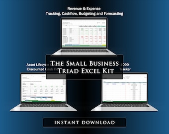 Revenue, Expense, & 1099 Tracker, Budgeting, and Forecasting - Small Business