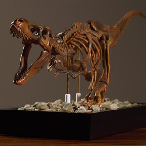 May include: A detailed, brown-coloured Tyrannosaurus Rex skeleton model on a black display base with small grey rocks. The dinosaur is posed in a roaring position with its mouth open.