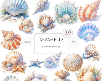 39 Seashell png, imágenes prediseñadas de concha de acuarela, imágenes prediseñadas de playa, paquete de imágenes prediseñadas náuticas, imágenes prediseñadas del océano, imágenes prediseñadas del mar, álbum de recortes, fabricación de tarjetas