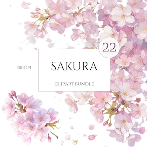 Imágenes prediseñadas de flores de cerezo de acuarela, imágenes prediseñadas de Sakura, ramas florales, ramos frescos de color rosa floral de primavera, imágenes prediseñadas prefabricadas, sakura japonesa png