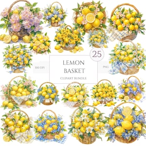 Set von 25, Aquarell Zitronen Korb, Zitrone Clipart, Zitrus Clipart, Obst Clipart, Zitronen Korb Clipart, hohe Qualität PNG, digitaler Download