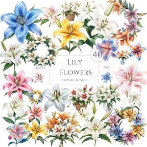 Pacote de clipart de lírio aquarela, flores de lírios brancos, convite de casamento em aquarela botânica PNG, gráfico de guirlanda elegante, uso comercial