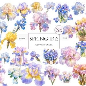 Clipart acquerello fiore di Iris, 35 PNG di alta qualità, Iris primaverile, Clipart floreale, stampa, cartoline, diario, download digitale, uso commerciale