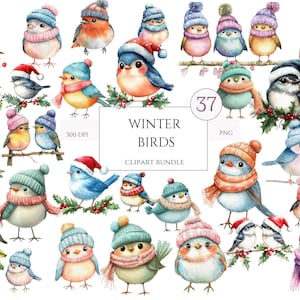 37 Christmas Bird PNG Clipart Bundle, Watercolor Xmas Bird Transparent BG Illustration, Adorable Santa&#39;s Birds, Festive Bird, Commercial Use