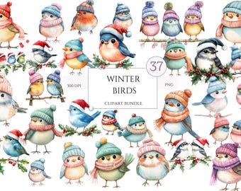 37 Christmas Bird PNG Clipart Bundle, Watercolor Xmas Bird Transparent BG Illustration, Adorable Santa's Birds, Festive Bird, Commercial Use