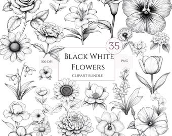 Black White Flowers Clipart Bundle, Flower Sketch Clipart, Flower Coloring Pages, Minimalistic Flower Art, Nursery Home DIY, Commercial Use