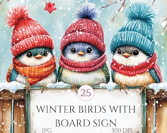 25 JPGs Quirky Winter Birds Clipart Bundle, Watercolor Christmas Birds With Board Sign, Festive Bird, Paper Craft, Commercial Use