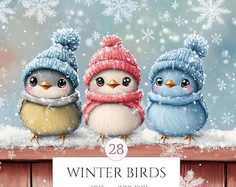 Cute Winter Birds Clipart, Woodland Snowy Winter Birds Print, Junk Journal Scrapbooking High Quality JPEGs, Commercial Use, Digital Download
