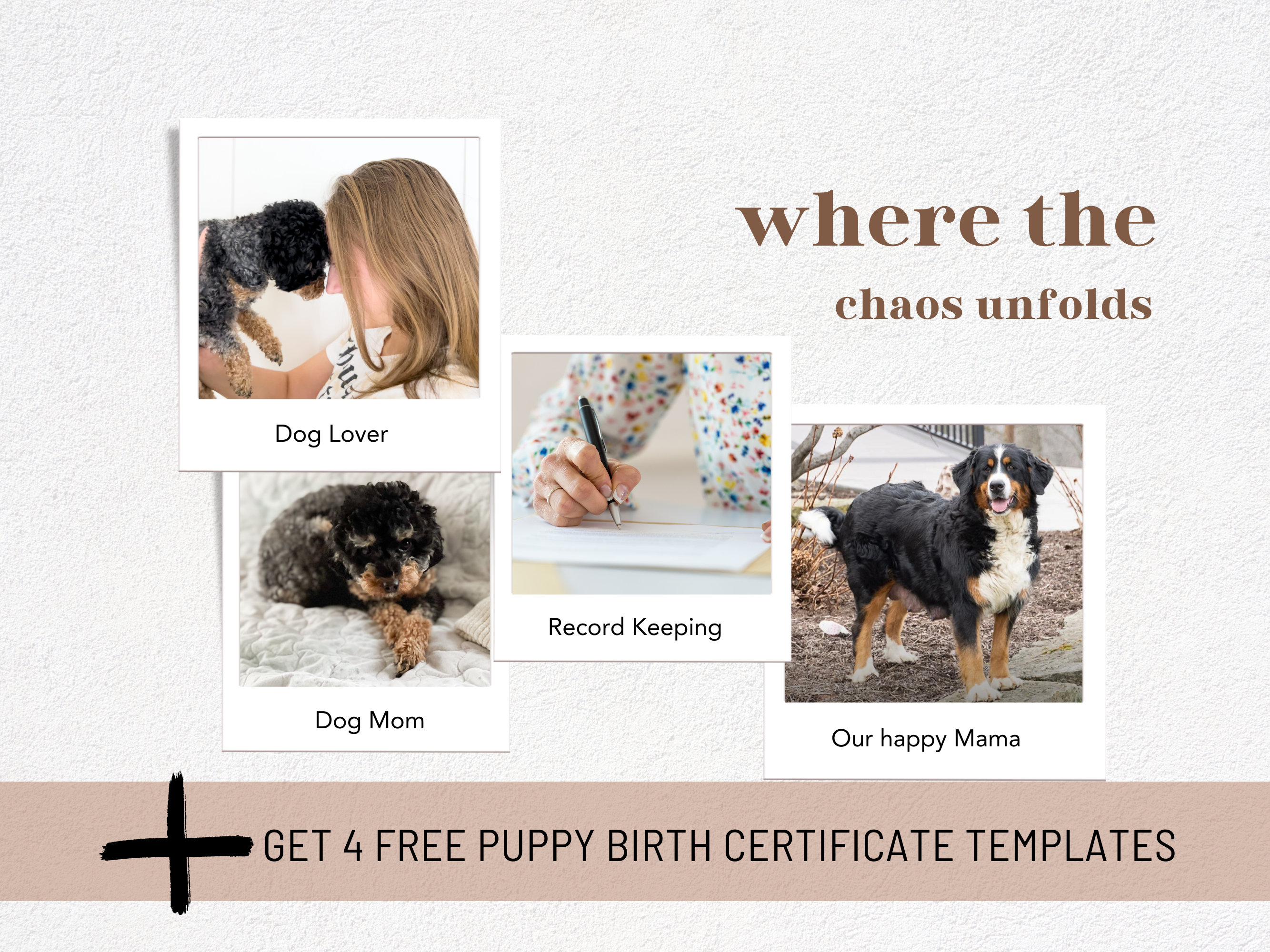 Deworm and Vaccine Chart for Puppy, Dog Deworming and Vaccine Guideline