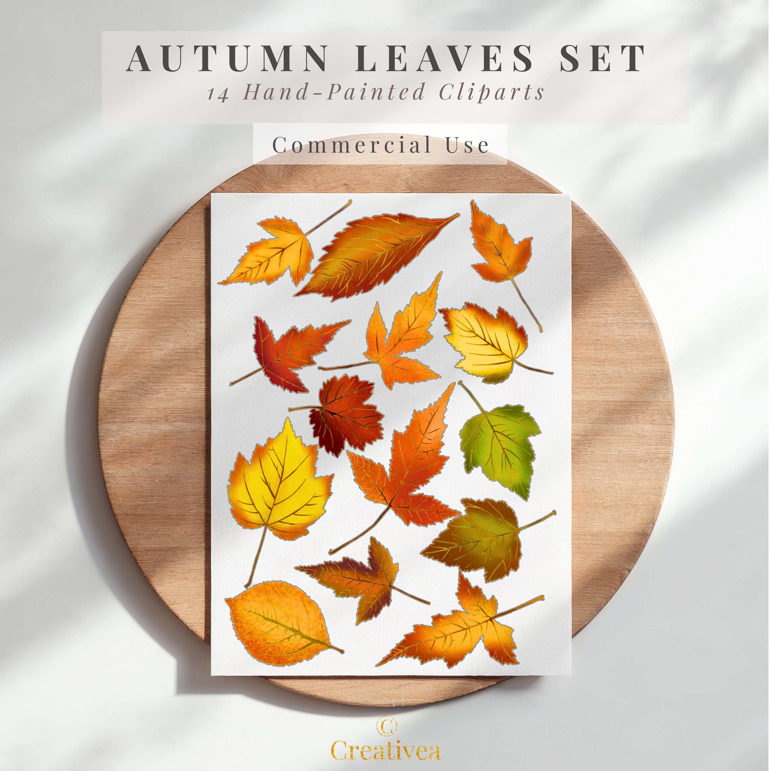 Handcrafted Autumn Leaves Clipart Set | 14 Fall Leaf Png’s | Gold Foil ...