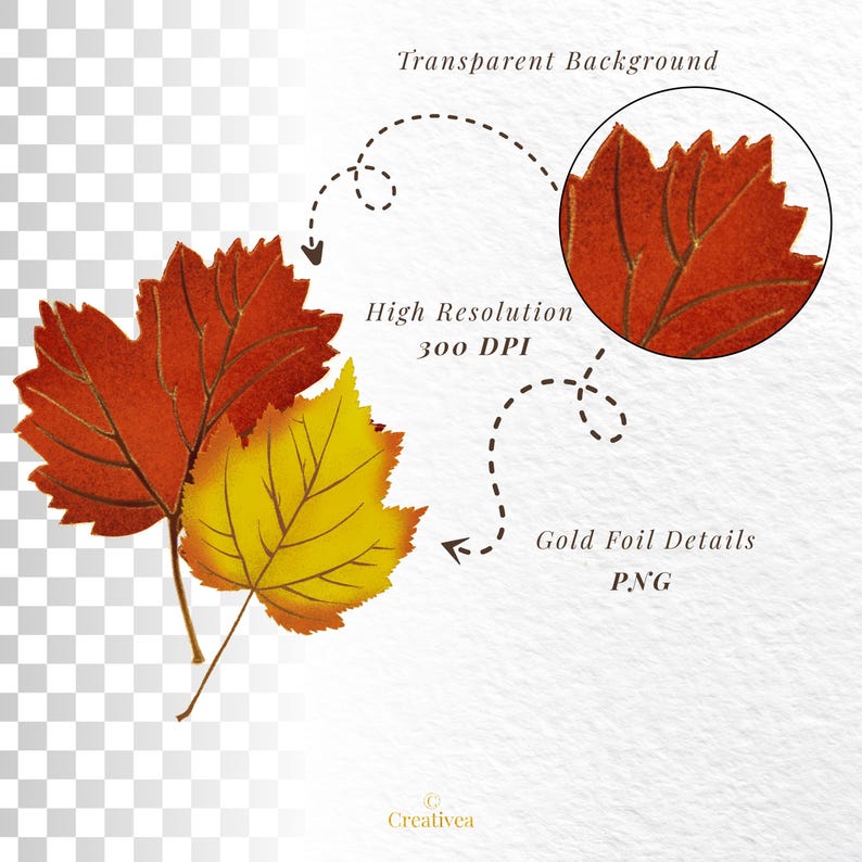 Handcrafted Autumn Leaves Clipart Set | 14 Fall Leaf Png’s | Gold Foil ...