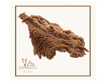 Paco-Vicuna Soft Luxury Rare & Fine Wool - One Whole Raw Fleece Blanket - A Spinner's and Fiber Artisan's Dreamy Delight to Work With!