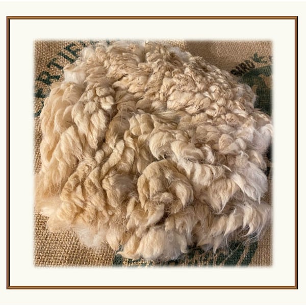 Paco-Vicuna Soft Luxury Rare & Fine Wool - Raw Fiber (28g) - A Spinner's and Fiber Artisan's Dreamy Delight to Work With!