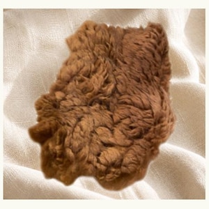 Puede incluir: Una pieza rectangular de lana marrón con una textura gruesa y rizada. El material tiene un aspecto denso y peludo con tonos marrones profundos y un pelo suave y apelmazado que crea un patrón de superficie natural e irregular.