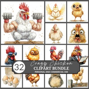 Verrückte Huhn Clipart Bundle, lustige Hahn PNG, Bauernhaus Huhn Kunst, süße Henne Digital Download, sarkastische Bauernhof Tier Design