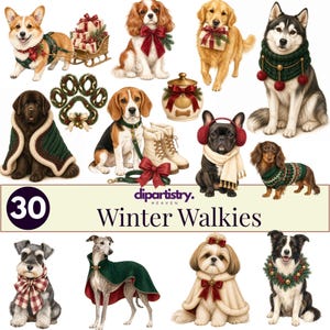 May include: A collection of illustrated dogs in winter attire, including a Corgi with a sleigh, a Golden Retriever with a gift, a Husky in a green scarf, a Beagle, a French Bulldog with earmuffs, and a Dachshund in a sweater. Text reads 30 Winter Walkies.