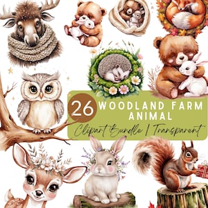 Clipart aquarelle animaux de la forêt | Jolies créatures de la forêt PNG | Bébés animaux et illustrations de livres de contes | Clipart ours et renard pour enfants | Rustique
