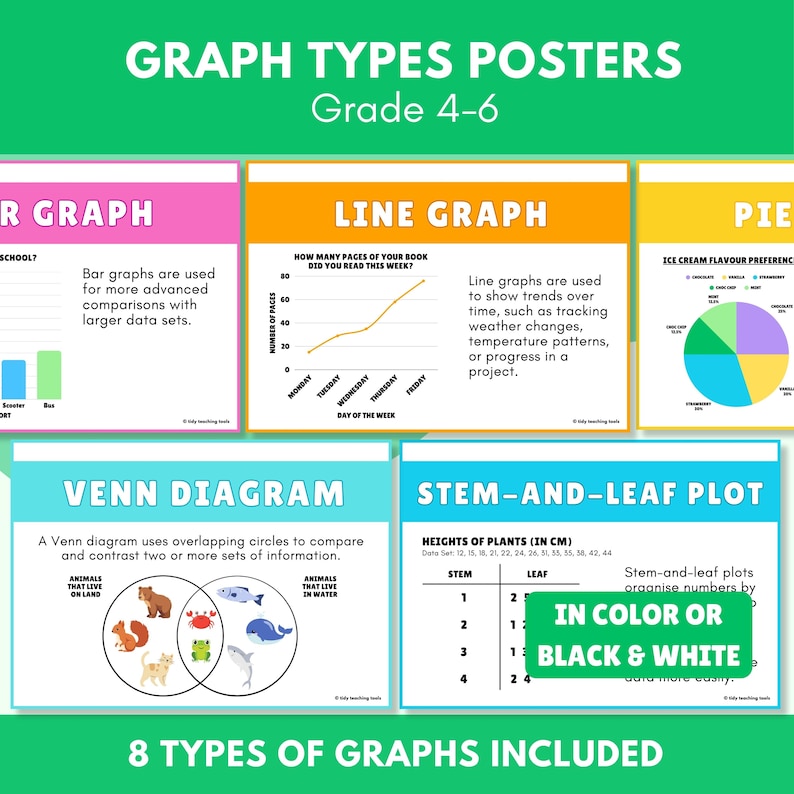Explain Graph Poster Types of Graphs Posters | Grade 4-6 - Etsy