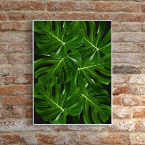 Tropisches Blatt druckbare Kunst | Tropischer grüner botanischer Druck | Dschungel Pflanzen Dekor | Boho digitaler Download | Moderne Natur Wandkunst
