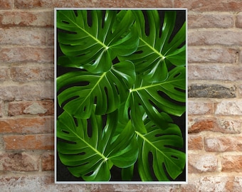 Arte murale stampabile con foglie tropicali / Stampa botanica verde tropicale / Decorazione con piante della giungla / Download digitale Boho / Arte murale moderna con natura