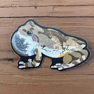May include: A camouflage-patterned frog sticker with a white belly and black eyes. The sticker is on a brown wooden surface.