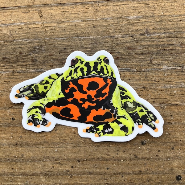 Fire-bellied Toad Sticker, Matte Vinyl Toad Sticker