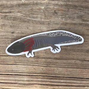 Wild Type Axolotl Sticker, Adorable Axolotl, Matte Vinyl Die Cut Sticker