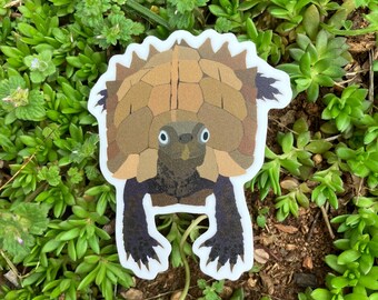 Vietnamese Black-breasted Leaf Turtle Sticker: Matte Vinyl Die Cut Decal