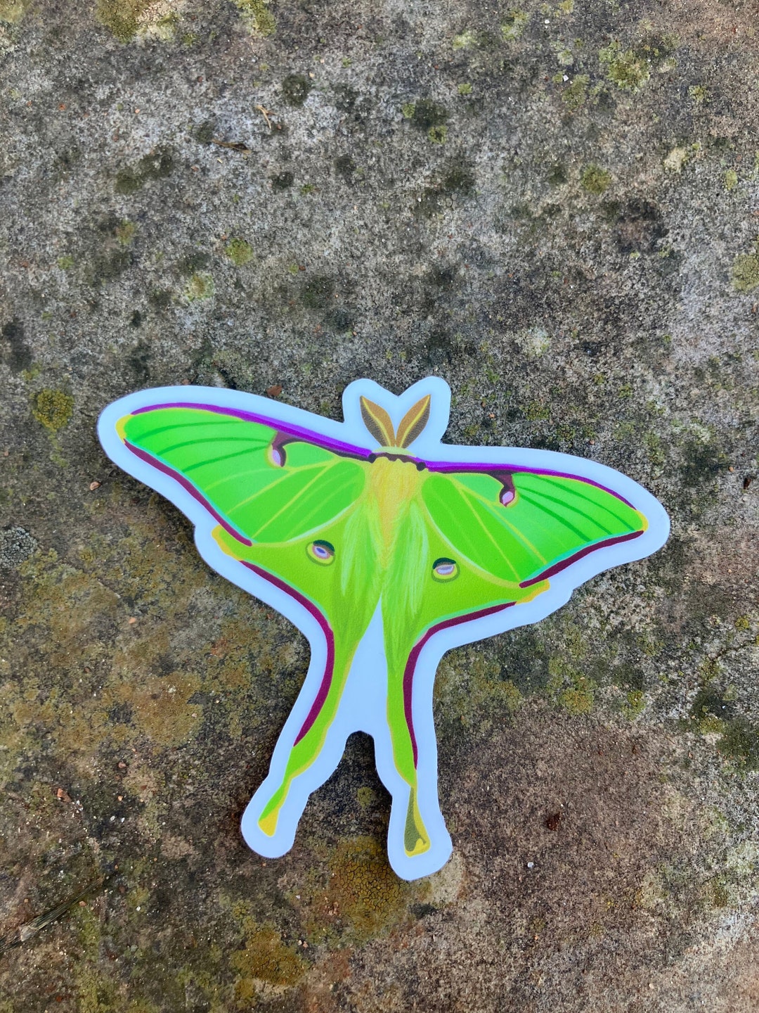 Luna Moth Sticker, Matte Vinyl Die Cut Sticker - Etsy