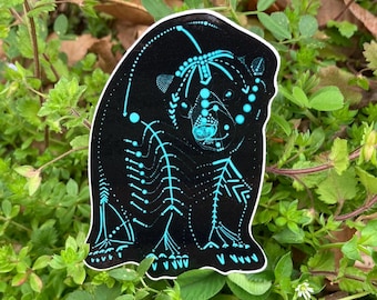 Pegatina de oso polar, diseño de la constelación de la aurora boreal, vinilo brillante.