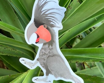 Cacatúa palmera, cacatúa goliat, pegatina de loro de vinilo mate