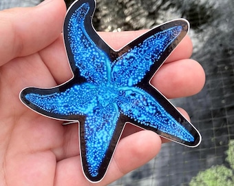 Bioluminescent Starfish Sticker: Glossy Vinyl Art Decal