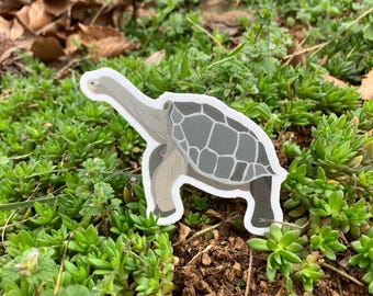 Pegatina de tortuga de las Galápagos del Solitario George: vinilo mate troquelado