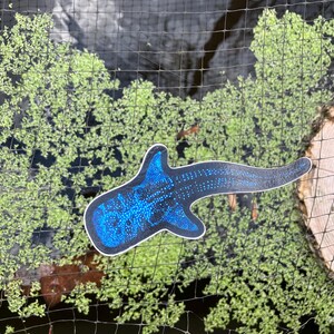 Bioluminescent Whale Shark Sticker: Glossy Vinyl original art image 13